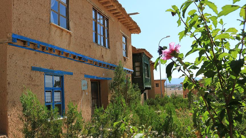 Yeşil bir tarla ve kerpiç ev duvarı